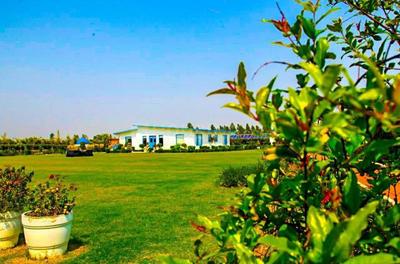 Residential Plot