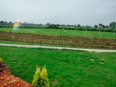 Residential Plot