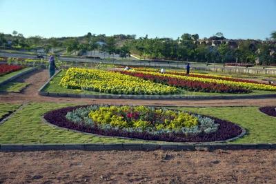 Residential Plot