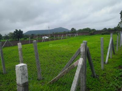 Residential Plot