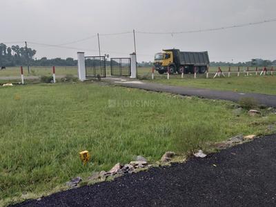 Residential Plot