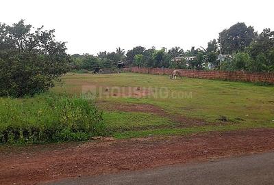Gallery Cover Image of Sq.ft Residential Plot for buy in Sector 38 for 27719520