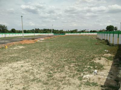Gallery Cover Image of Sq.ft Residential Plot for buy in Thirunindravur for 1290600