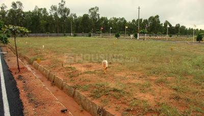 Residential Plot