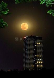 4 BHK Apartment