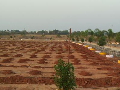 Residential Plot