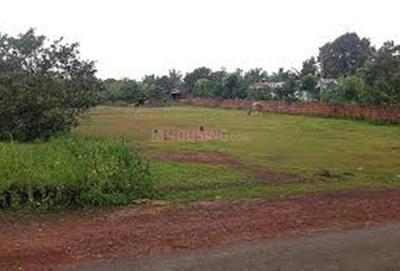 Residential Plot