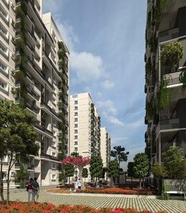 3 BHK Apartment