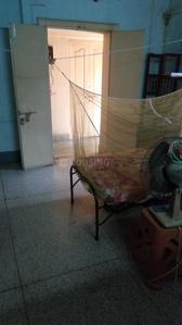 Bedroom Image of PG 4272287 Behala in Behala