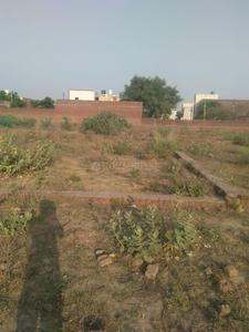 Gallery Cover Image of Sq.ft Residential Plot for buy in Kehari for 3000000