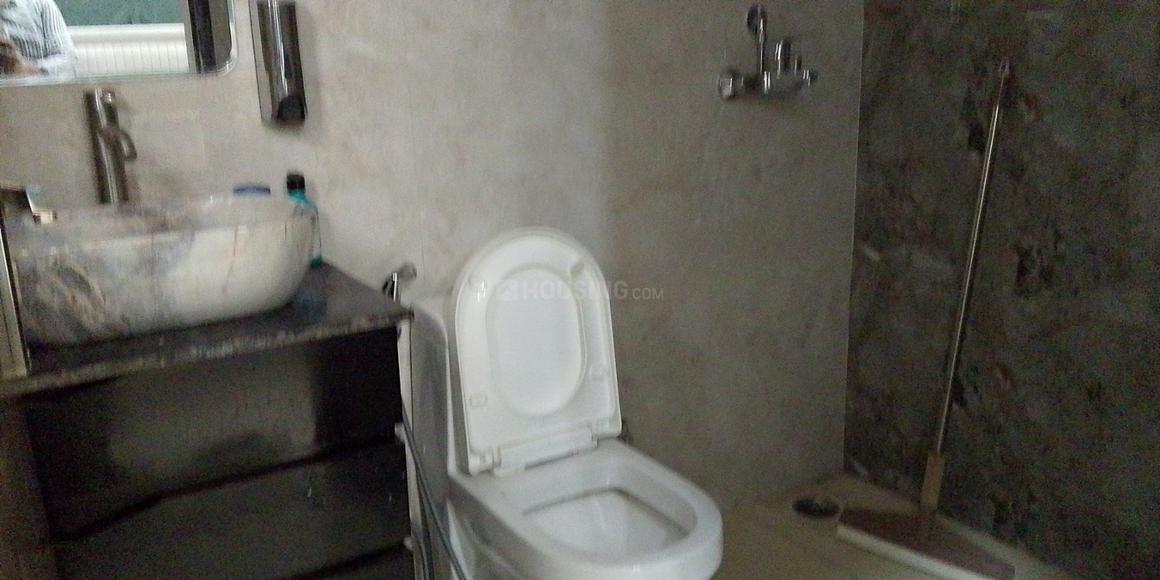 ACE Divino - Image 11