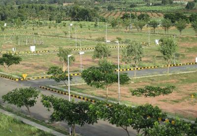 Residential Plot