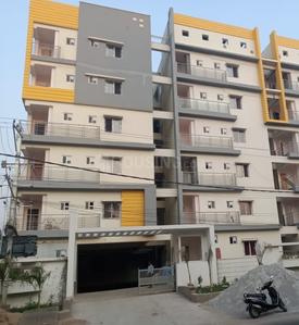3 BHK Apartment