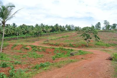 Gallery Cover Image of Sq.ft Residential Plot for buy in Mangala Nagar for 6000000