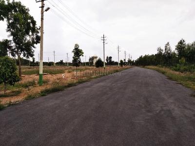 Residential Plot