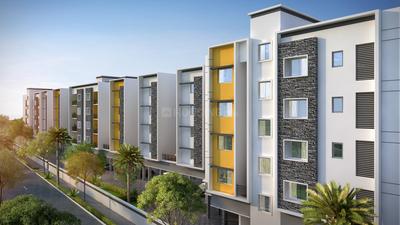 3 BHK Apartment