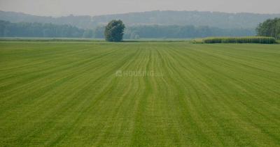 1500 Sq.ft Residential Plot for Sale in Maheshtala, Kolkata