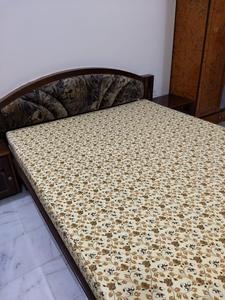 Gallery Cover Image of 1380 Sq.ft 2 BHK Apartment for rent in Worli for 110000