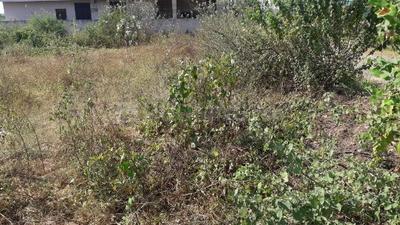 Residential Plot