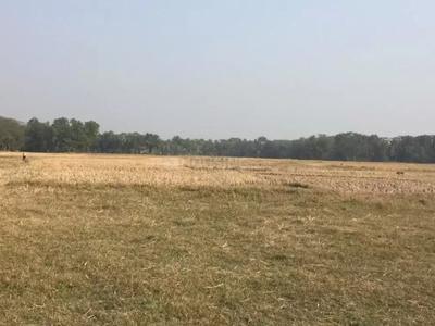 Gallery Cover Image of Sq.ft Residential Plot for buy in Thakurpukur for 460000