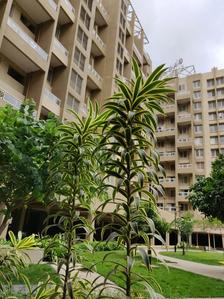 Gallery Cover Image of 1073 Sq.ft 2 BHK Apartment for buy in Pisoli for 4885000