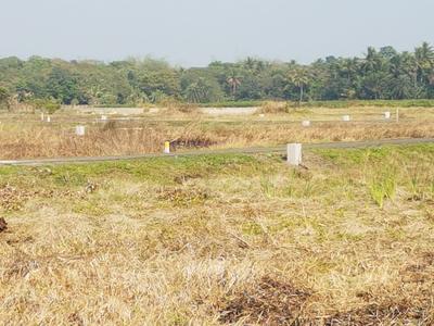 Gallery Cover Image of Sq.ft Residential Plot for buy in Barasat for 375000