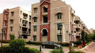Gallery Cover Image of 1250 Sq.ft 2 BHK Apartment for rent in Eldeco Green Meadows, PI Greater Noida for 12000