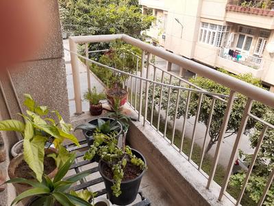 3 BHK Apartment