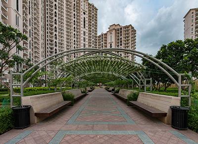 3 BHK Apartment