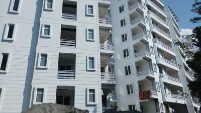 Gallery Cover Image of 2400 Sq.ft 3 BHK Apartment for buy in Malsi for 7500000