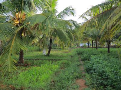Gallery Cover Image of Sq.ft Residential Plot for buy in Annur for 5000000