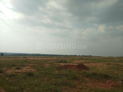 Gallery Cover Image of Sq.ft Residential Plot for buy in Nagarbhavi for 70000000