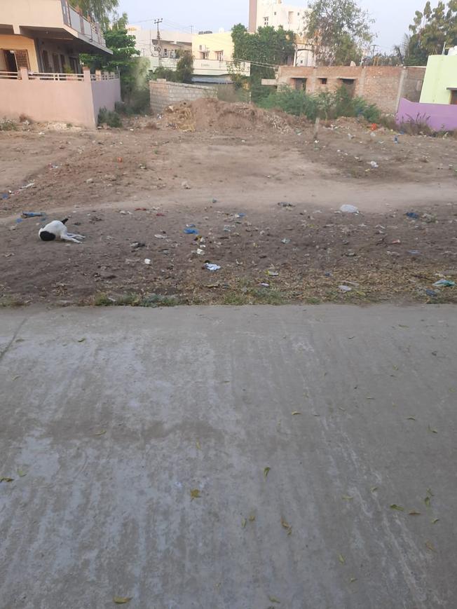 Properties For Sale Near Sri Balaji Vidya Mandir Rudrampeta Anantapur Properties For Sale Near Sri Balaji Vidya Mandir Rudrampeta Anantapur