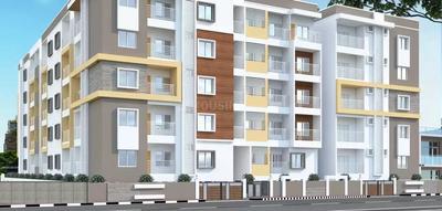 3 BHK Apartment