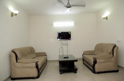 Living Room Image of PG 4643068 Sector 71 in Sector 71