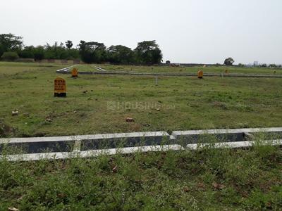 Residential Plot