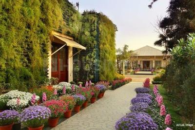 Residential Plot