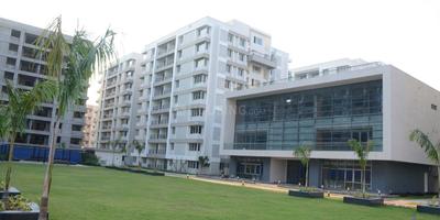 3 BHK Apartment