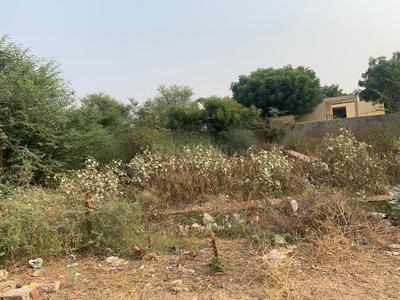 Gallery Cover Image of Sq.ft Residential Plot for buy in Jagatpura for 9800000