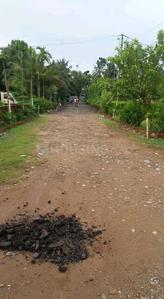 Gallery Cover Image of Sq.ft Residential Plot for buy in Thakurpukur for 120000