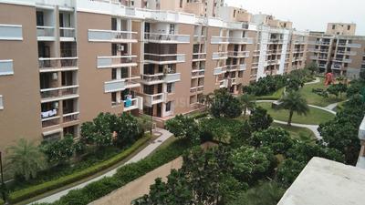 3 BHK Apartment