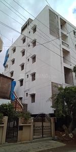 3 BHK Apartment