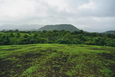 Gallery Cover Image of Sq.ft Residential Plot for buy in Kashele for 1249999