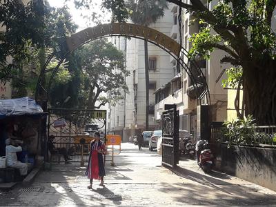 1 BHK Apartment
