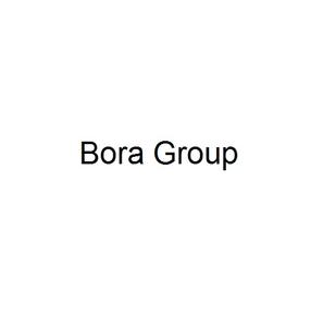 Bora Group logo