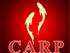 Carp Properties