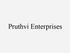 Pruthvi Enterprise