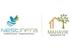 Nest Group