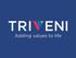 Triveni Group