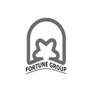 Fortune Group logo